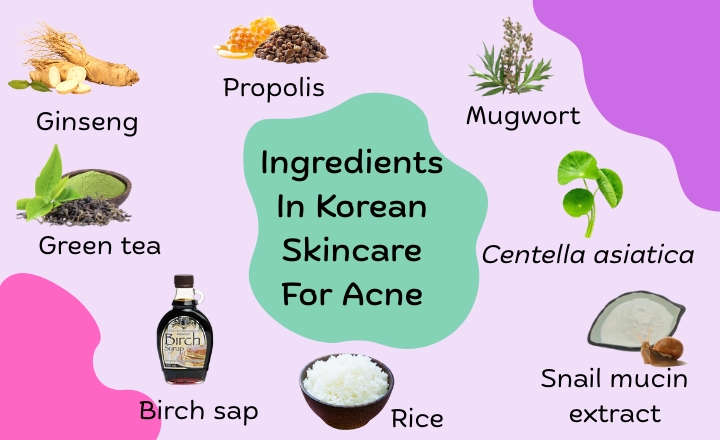 Ingredients In Korean Skincare For Acne